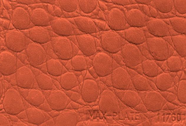 Assumenda accus antium